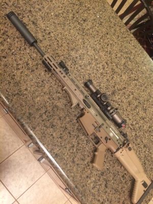 scar1